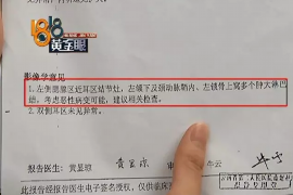 林州如何避免债务纠纷？专业追讨公司教您应对之策